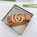 Belt Brown & Gold Buckle 2024