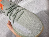 350 v2 Desert Sage