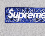 Felpa con cappuccio Box Logo Bandana Grigio