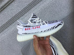 Zebra 350v2