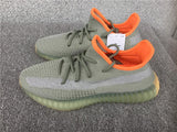 350 v2 Desert Sage