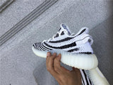 Zebra 350v2